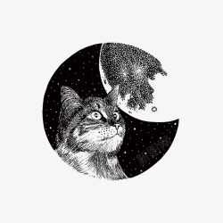 猫奴猫咪和月亮高清图片