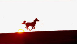 奔跑的马儿马不停蹄高清图片