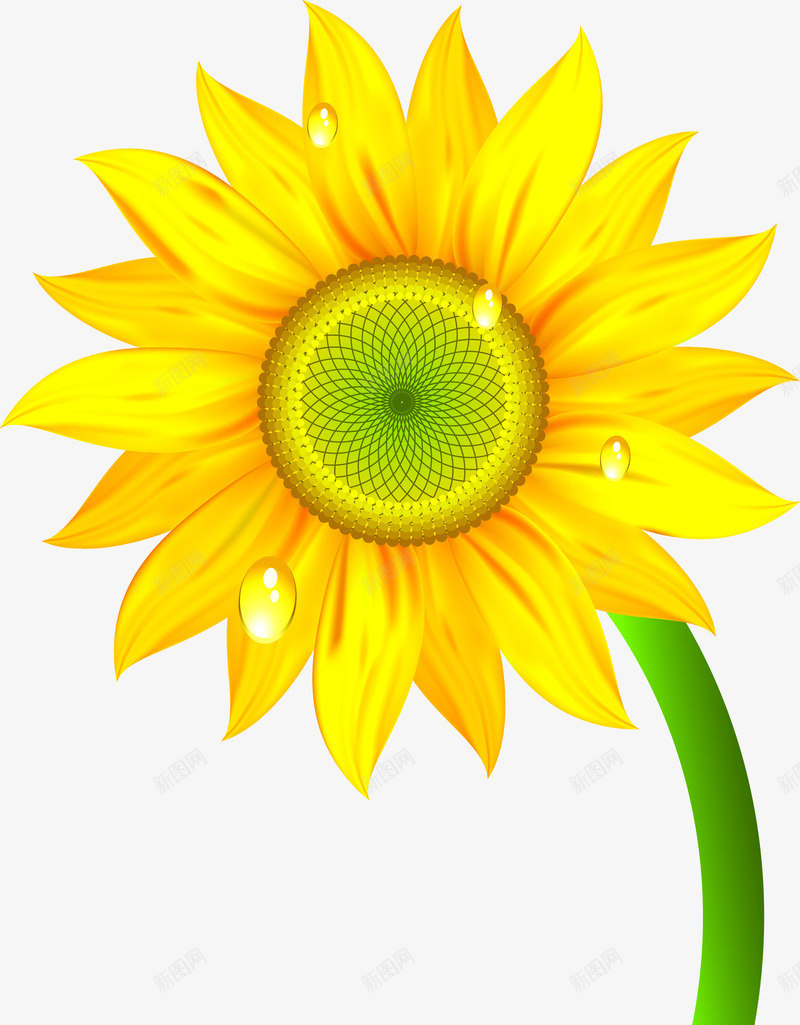 向日葵矢量图ai免抠素材_新图网 https://ixintu.com 向日葵 向阳 太阳 抽象向日葵 植物 矢量图 花朵