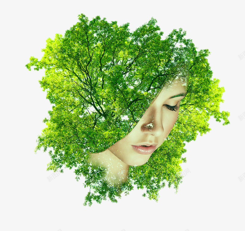 创意被绿树遮盖的脸png免抠素材_新图网 https://ixintu.com 人物脸 创意 创意被绿树遮盖的脸 叶子 女人的脸 绿树 绿色 遮盖
