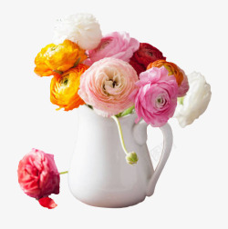 莲花瓶白瓷瓶里的彩色洋牡丹高清图片