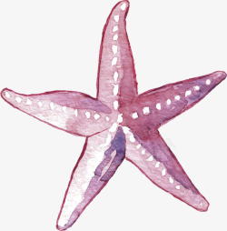美丽的海星水彩手绘美丽海星矢量图高清图片