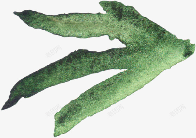 手绘植物png免抠素材_新图网 https://ixintu.com 唯美花卉 手绘 手绘花卉 手绘花草 月季花 水墨花卉 水彩花卉 牡丹 玫瑰花 绿色植物 花卉 花卉设计 花草 飘落