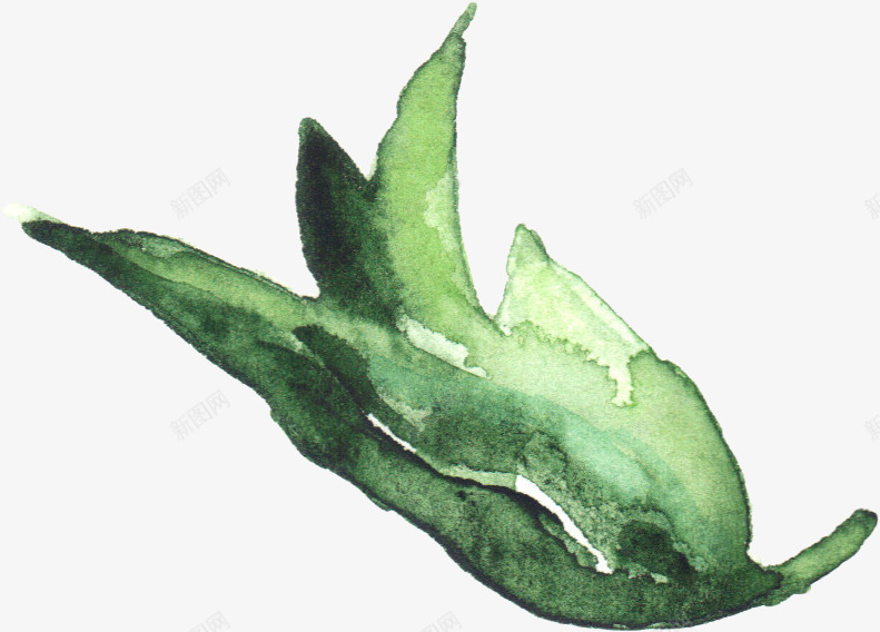 手绘植物png免抠素材_新图网 https://ixintu.com 唯美花卉 手绘 手绘花卉 手绘花草 月季花 水墨花卉 水彩花卉 牡丹 玫瑰花 绿色植物 花卉 花卉设计 花草 飘落
