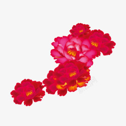 红色牡丹花素材