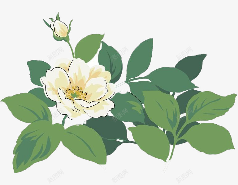 盛开的白玫瑰png免抠素材_新图网 https://ixintu.com 手绘 爱情 白玫瑰 白玫瑰手绘 白色 盛开 绿色 美丽 高洁