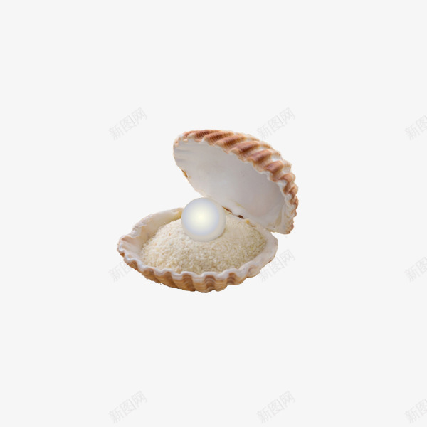 蚌壳里的沙子与珍珠png免抠素材_新图网 https://ixintu.com 沙子 珍珠 美丽 蚌壳