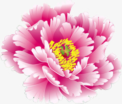 手绘粉色牡丹国花素材