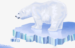 北极熊熊素材