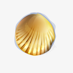 回响金色的贝壳高清图片
