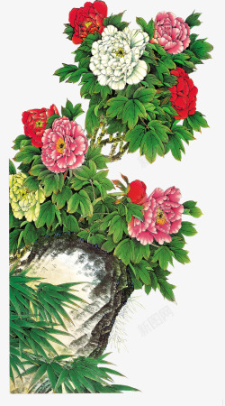 中国风彩色牡丹花朵装饰素材