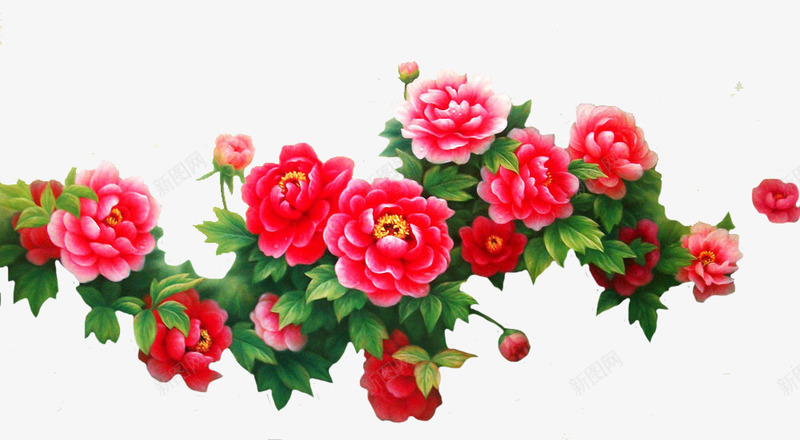 红色牡丹png免抠素材_新图网 https://ixintu.com 免费素材 植物 牡丹花骨朵 红色 花卉