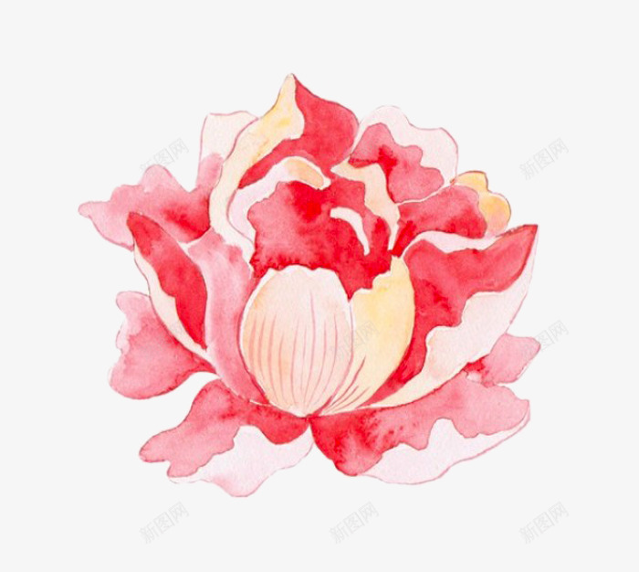 红色的牡丹png免抠素材_新图网 https://ixintu.com 卡通 手绘 牡丹花 简图 红色的 花瓣