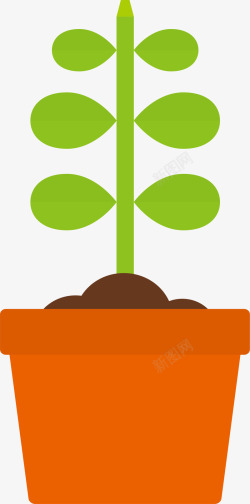 植物生长过程长树干素材