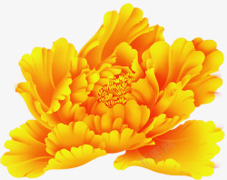 黄色大气花朵牡丹素材