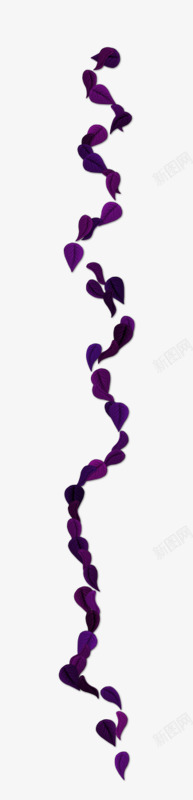 紫色花瓣波浪线素材