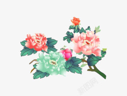 手绘中国风牡丹花朵素材