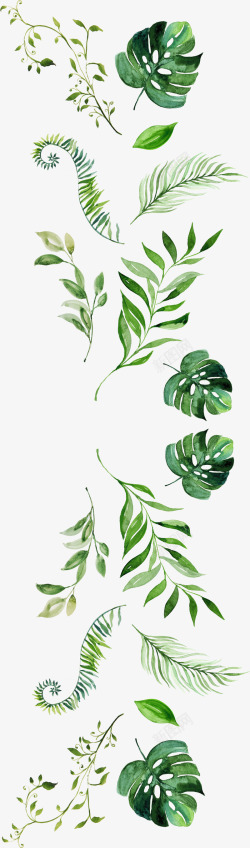 植物笔刷水彩卡通植物绿色高清图片