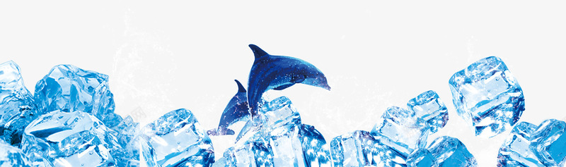冰块海豚png免抠素材_新图网 https://ixintu.com 冰凉凉 冰块 冰块海豚 夏日元素 海豚