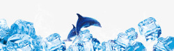 冰凉凉冰块海豚高清图片