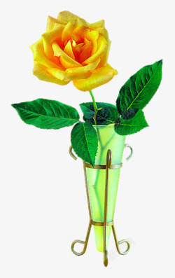 绿色花瓶中的黄牡丹素材