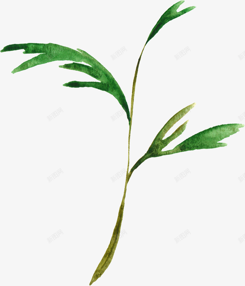 手绘花卉png免抠素材_新图网 https://ixintu.com 唯美花卉 手绘 手绘花卉 月季花 水墨花卉 水彩花卉 牡丹 玫瑰花 花卉 花卉设计 飘落