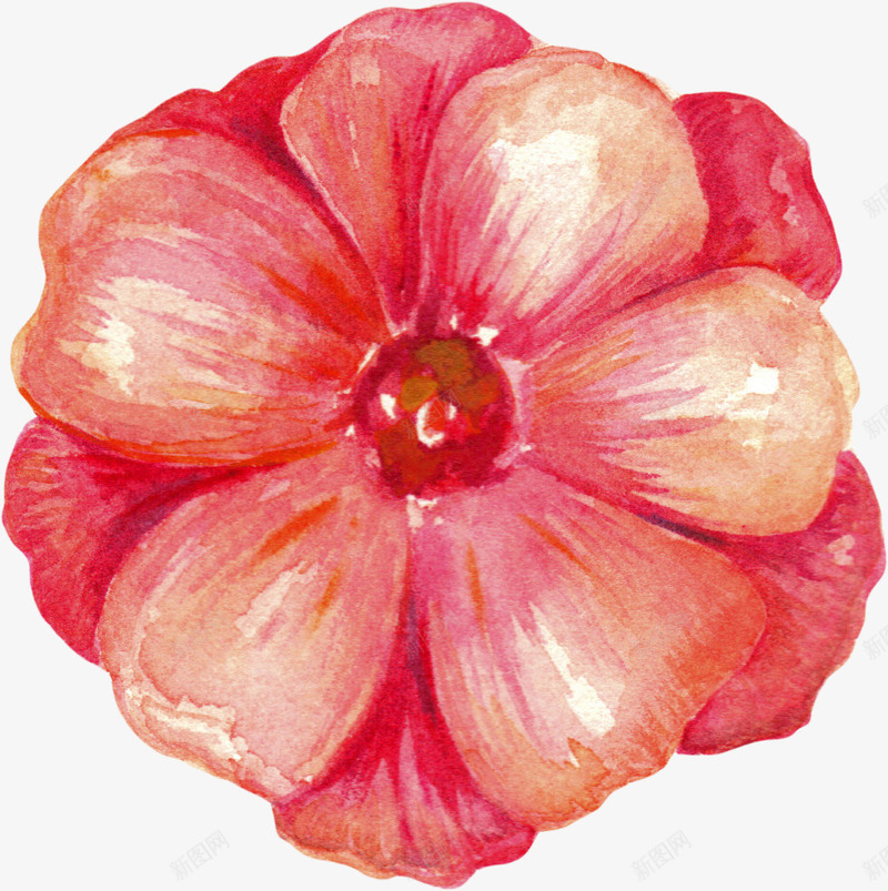 手绘花卉png免抠素材_新图网 https://ixintu.com 唯美花卉 手绘 手绘花卉 月季花 水墨花卉 水彩花卉 牡丹 玫瑰花 花卉 花卉设计 飘落