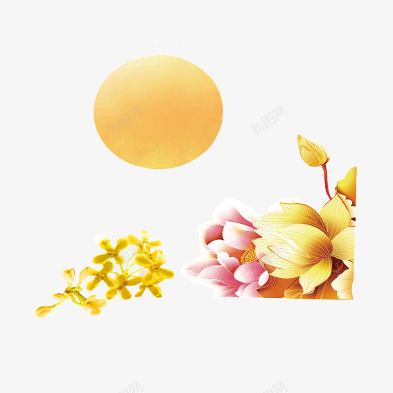 圆月鲜花png免抠素材_新图网 https://ixintu.com 小黄花 月亮 荷花 装饰
