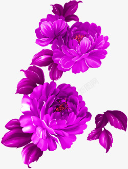 紫色牡丹花效果元素素材