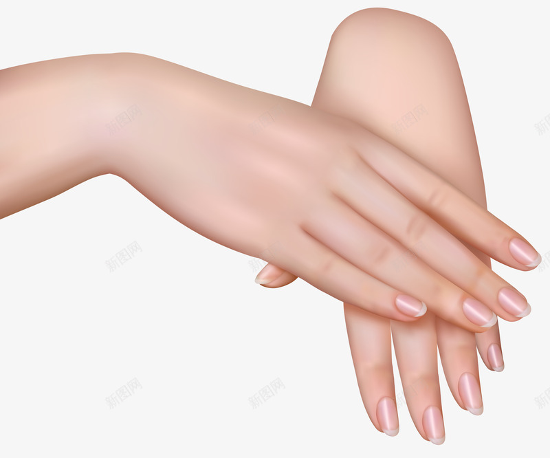 一双女人的手装饰png免抠素材_新图网 https://ixintu.com 一双手 免抠图 女人的手 手 抠图 装饰 装饰画