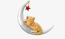 休息月亮猫咪素材
