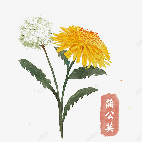 蒲公英手绘图标png_新图网 https://ixintu.com 书签 手绘 标识 蒲公英