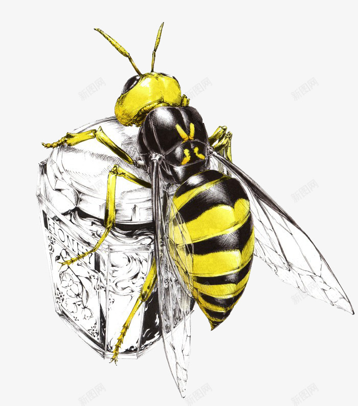 手绘蜜蜂冰块png免抠素材_新图网 https://ixintu.com 冰块 手绘 昆虫 蜜蜂