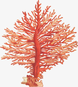 手绘风美丽红色珊瑚矢量图素材