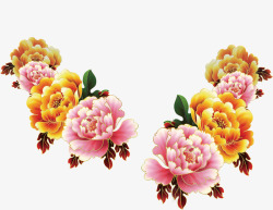粉黄色的牡丹花花朵高清图片