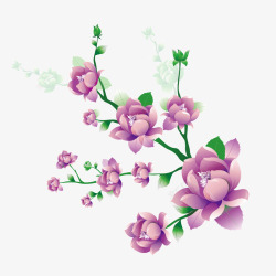 卡通紫色牡丹紫草素材