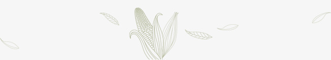玉米png免抠素材_新图网 https://ixintu.com 玉米 笔刷 简笔画 简笔画五官素材 素材