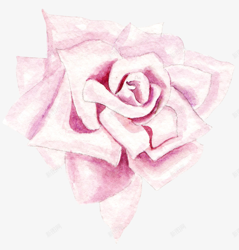 卡通手绘粉色的玫瑰花png免抠素材_新图网 https://ixintu.com 创意 动漫动画 卡通手绘 粉色的玫瑰 精美 美丽的玫瑰花