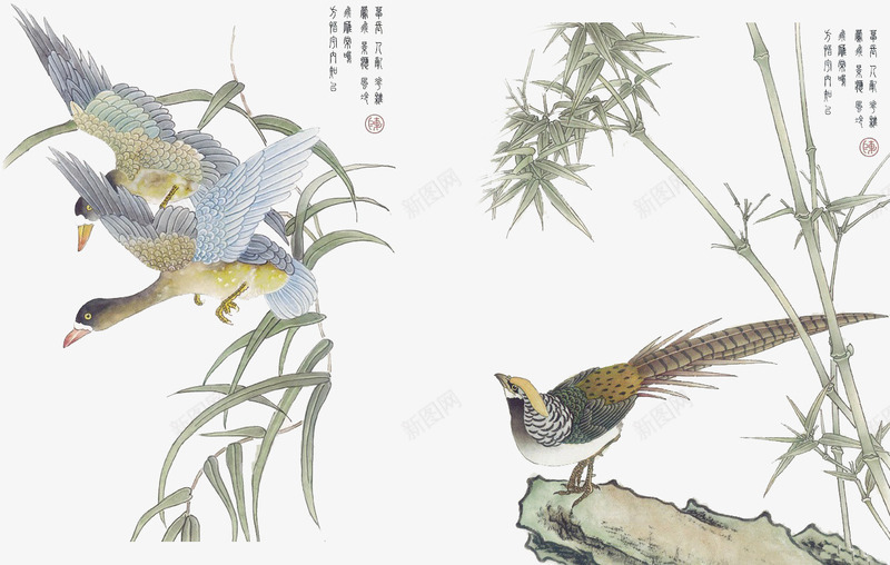 中国风花鸟png免抠素材_新图网 https://ixintu.com 中国画花鸟 中国风 中国风花鸟素材 国画 竹子 花 花鸟 鸟