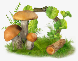卡通手绘蘑菇与小草素材