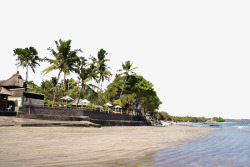 美丽椰子树巴厘岛库塔海滩高清图片