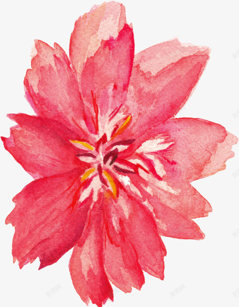 手绘花卉png免抠素材_新图网 https://ixintu.com 唯美花卉 手绘 手绘花卉 手绘花草 月季花 水墨花卉 水彩花卉 牡丹 玫瑰花 绿色植物 花卉 花卉设计 花草 飘落