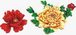 红黄牡丹花素材