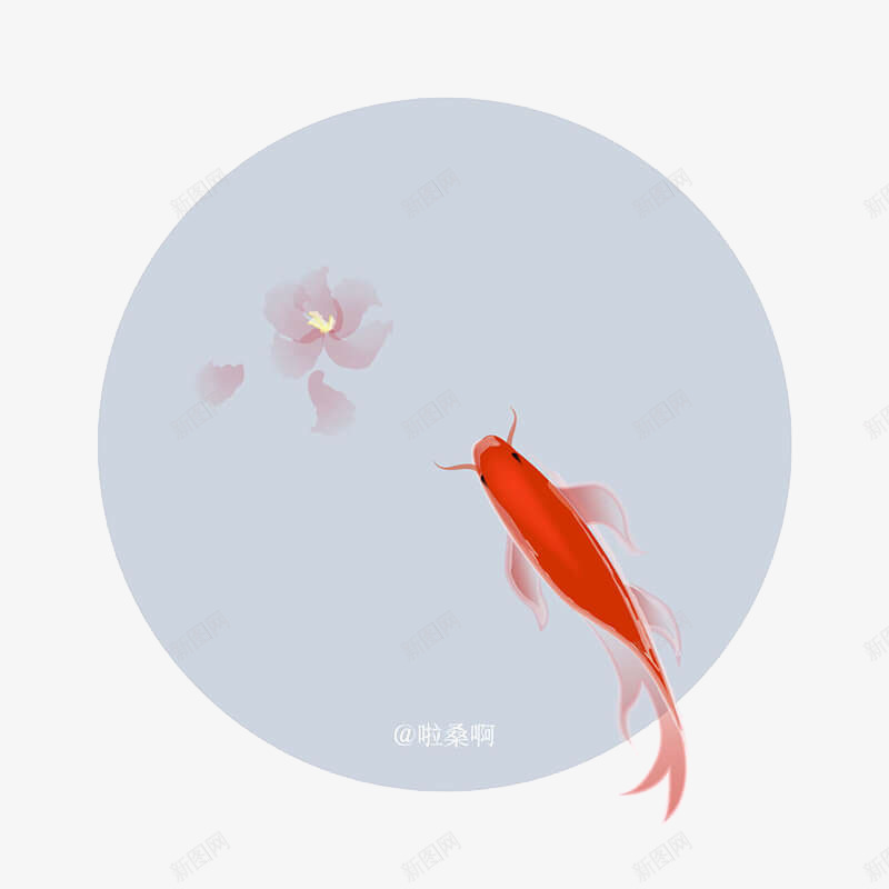 金鱼图案png免抠素材_新图网 https://ixintu.com 红色的金鱼 美丽的金鱼 金鱼