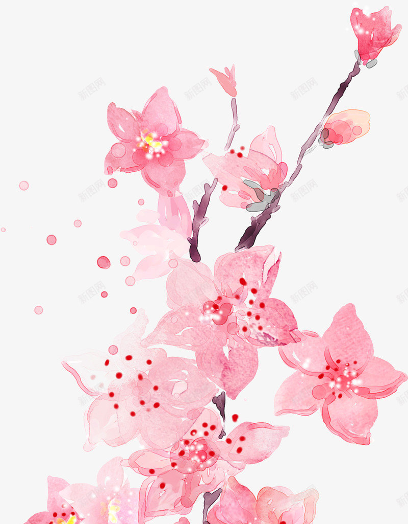 粉色水墨古典花朵png免抠素材_新图网 https://ixintu.com 古典 水墨 粉色 花朵