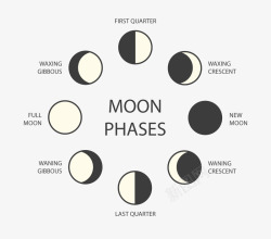 月圆周期图元素月亮高清图片