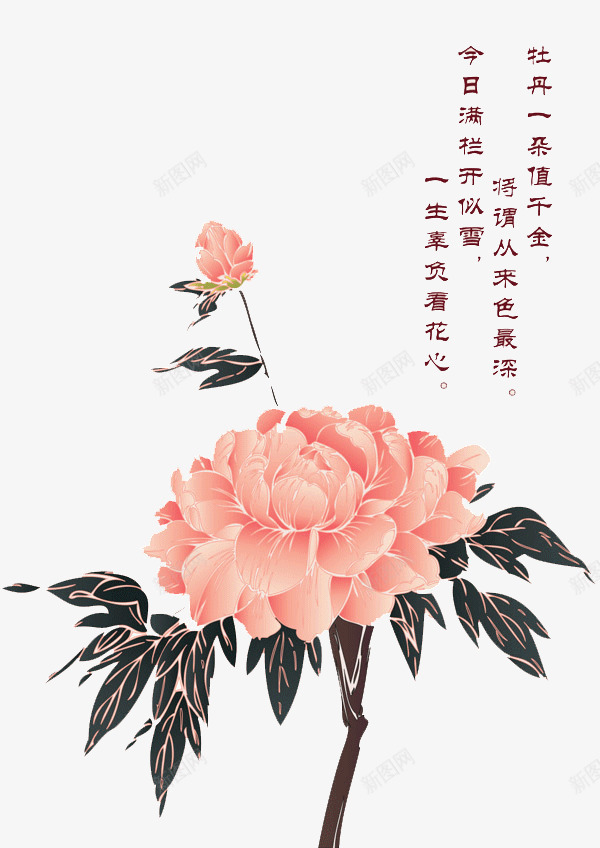 中国风牡丹png免抠素材_新图网 https://ixintu.com 中国风 中国风牡丹 多层花瓣 牡丹