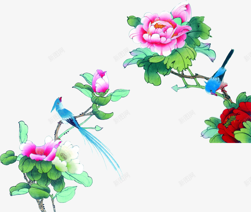 中国风花鸟png免抠素材_新图网 https://ixintu.com 中国画花鸟 中国风 中国风花鸟素材 国画 花 花鸟 鸟