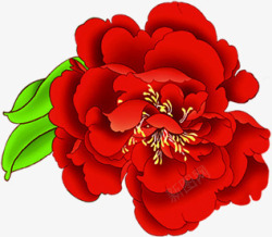 大红色的牡丹花背景素材