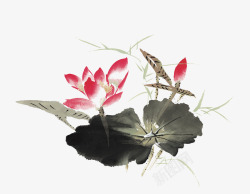 国画莲花素材